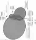 Fig. 34 - SINGLE-NUCLEI CHARACTERIZATION OF AMYOTROPHIC LATERAL SCLEROSIS FRONTAL CORTEX