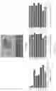 Fig. 37 - SINGLE-NUCLEI CHARACTERIZATION OF AMYOTROPHIC LATERAL SCLEROSIS FRONTAL CORTEX