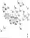 Fig. 53 - SINGLE-NUCLEI CHARACTERIZATION OF AMYOTROPHIC LATERAL SCLEROSIS FRONTAL CORTEX