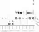 Fig. 60 - SINGLE-NUCLEI CHARACTERIZATION OF AMYOTROPHIC LATERAL SCLEROSIS FRONTAL CORTEX