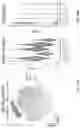 Fig. 62 - SINGLE-NUCLEI CHARACTERIZATION OF AMYOTROPHIC LATERAL SCLEROSIS FRONTAL CORTEX