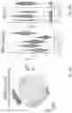 Fig. 63 - SINGLE-NUCLEI CHARACTERIZATION OF AMYOTROPHIC LATERAL SCLEROSIS FRONTAL CORTEX