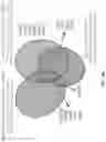 Fig. 64 - SINGLE-NUCLEI CHARACTERIZATION OF AMYOTROPHIC LATERAL SCLEROSIS FRONTAL CORTEX