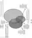 Fig. 65 - SINGLE-NUCLEI CHARACTERIZATION OF AMYOTROPHIC LATERAL SCLEROSIS FRONTAL CORTEX
