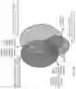 Fig. 66 - SINGLE-NUCLEI CHARACTERIZATION OF AMYOTROPHIC LATERAL SCLEROSIS FRONTAL CORTEX