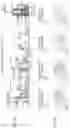 Fig. 72 - SINGLE-NUCLEI CHARACTERIZATION OF AMYOTROPHIC LATERAL SCLEROSIS FRONTAL CORTEX