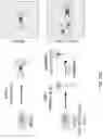 Fig. 74 - SINGLE-NUCLEI CHARACTERIZATION OF AMYOTROPHIC LATERAL SCLEROSIS FRONTAL CORTEX