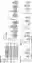 Fig. 21 - METHODS OF TREATMENT OF DISEASES AND DISORDERS ASSOCIATED WITH INCREASED TET LEVEL, INCREASED H19 LEVEL, INCREASED LEVEL OF TGF SIGNALING, OR ANY COMBINATION THEREOF