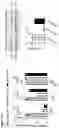 Fig. 24 - METHODS OF TREATMENT OF DISEASES AND DISORDERS ASSOCIATED WITH INCREASED TET LEVEL, INCREASED H19 LEVEL, INCREASED LEVEL OF TGF SIGNALING, OR ANY COMBINATION THEREOF