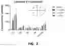 Fig. 03 - Derivatized chitosan polymers and methods of treating vascular disorders