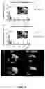 Fig. 04 - Derivatized chitosan polymers and methods of treating vascular disorders