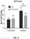 Fig. 06 - Derivatized chitosan polymers and methods of treating vascular disorders