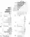 Fig. 04 - NOVEL COMPOSITIONS FOR TREATING COLITIS AND/OR PREVENTING COLON CANCER