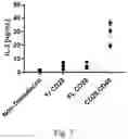 Fig. 09 - RECEPTORS PROVIDING TARGETED COSTIMULATION FOR ADOPTIVE CELL THERAPY