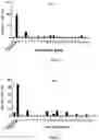 Fig. 02 - METHOD FOR T CELL ACTIVATION FOR CANCER TREATMENT