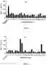 Fig. 03 - METHOD FOR T CELL ACTIVATION FOR CANCER TREATMENT