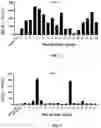 Fig. 05 - METHOD FOR T CELL ACTIVATION FOR CANCER TREATMENT