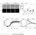 Fig. 04 - ENGINEERED IMMUNE CELLS