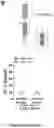 Fig. 07 - ENGINEERED IMMUNE CELLS