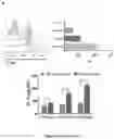 Fig. 13 - ENGINEERED IMMUNE CELLS