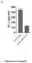 Fig. 25 - ENGINEERED IMMUNE CELLS