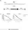 Fig. 30 - ENGINEERED IMMUNE CELLS