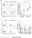 Fig. 34 - ENGINEERED IMMUNE CELLS