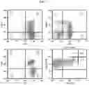 Fig. 02 - Activated lymphocytes comprising cytokine-induced killer cells and preparation method therefor