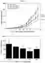 Fig. 03 - Activated lymphocytes comprising cytokine-induced killer cells and preparation method therefor