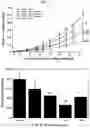 Fig. 04 - Activated lymphocytes comprising cytokine-induced killer cells and preparation method therefor