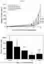 Fig. 05 - Activated lymphocytes comprising cytokine-induced killer cells and preparation method therefor