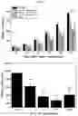 Fig. 06 - Activated lymphocytes comprising cytokine-induced killer cells and preparation method therefor