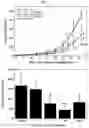 Fig. 08 - Activated lymphocytes comprising cytokine-induced killer cells and preparation method therefor