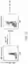 Fig. 05 - HIGH AVIDITY WT1 T CELL RECEPTORS AND USES THEREOF
