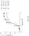 Fig. 09 - HIGH AVIDITY WT1 T CELL RECEPTORS AND USES THEREOF