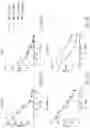 Fig. 13 - HIGH AVIDITY WT1 T CELL RECEPTORS AND USES THEREOF