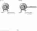 Fig. 02 - ENGINEERED GAMMA DELTA T-CELLS
