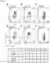Fig. 04 - METHOD FOR PRODUCING IMMUNOCYTES, AND USE THEREOF