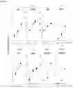 Fig. 07 - METHOD FOR PRODUCING IMMUNOCYTES, AND USE THEREOF