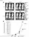 Fig. 08 - METHOD FOR PRODUCING IMMUNOCYTES, AND USE THEREOF