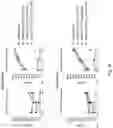 Fig. 44 - METHODS AND COMPOSITIONS FOR PROGRAMMING T CELL DIFFERENTIATION AND ENHANCING T CELL PROLIFERATION
