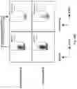 Fig. 51 - METHODS AND COMPOSITIONS FOR PROGRAMMING T CELL DIFFERENTIATION AND ENHANCING T CELL PROLIFERATION