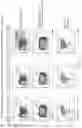 Fig. 58 - METHODS AND COMPOSITIONS FOR PROGRAMMING T CELL DIFFERENTIATION AND ENHANCING T CELL PROLIFERATION