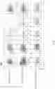 Fig. 70 - METHODS AND COMPOSITIONS FOR PROGRAMMING T CELL DIFFERENTIATION AND ENHANCING T CELL PROLIFERATION