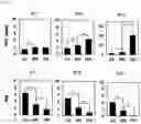 Fig. 07 - METHOD FOR TREATING ATOPIC DERMATITIS USING MONOCLONAL STEM CELLS