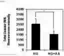 Fig. 12 - METHOD FOR TREATING ATOPIC DERMATITIS USING MONOCLONAL STEM CELLS