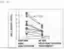 Fig. 05 - COMPOSITION FOR PROMOTING CARTILAGE TISSUE REGENERATION