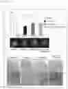 Fig. 21 - COMPOSITION FOR PROMOTING CARTILAGE TISSUE REGENERATION