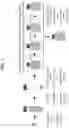 Fig. 04 - MYOBLAST CHIMERIC CELLS (MCCs)