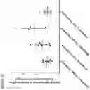 Fig. 11 - METHODS AND COMPOSITIONS OF CHONDRISOMES